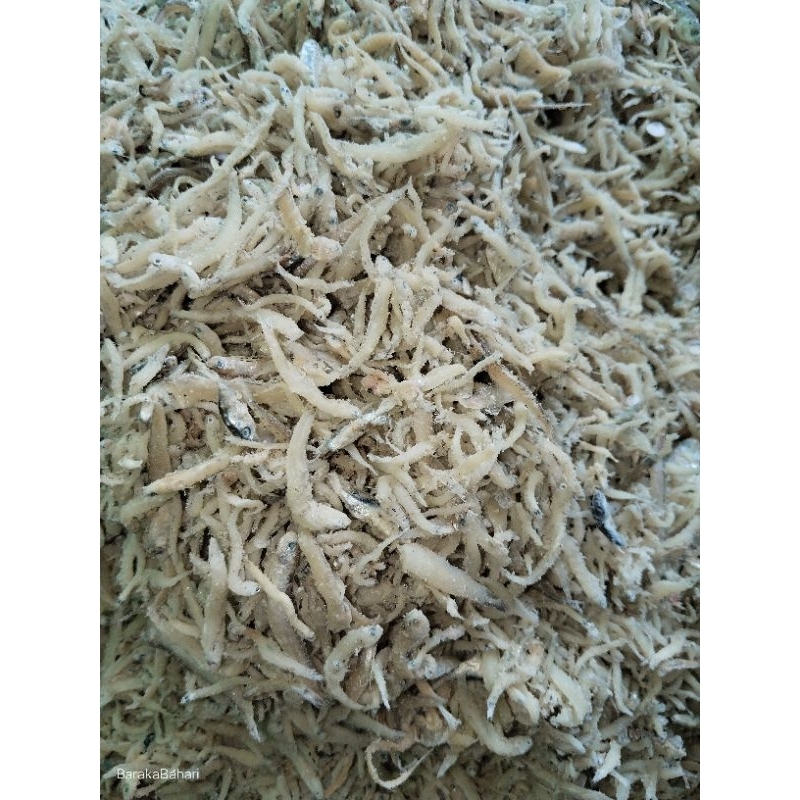 

teri tawar, teri asin, teri medan, cumi, rebon sepuluh ribuan