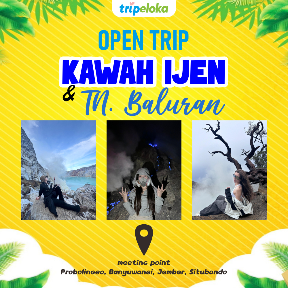 Paket Wisata Open Trip Private Trip Kawah Ijen Blue Fire dan Taman Nasional Baluran Paket Travel pax