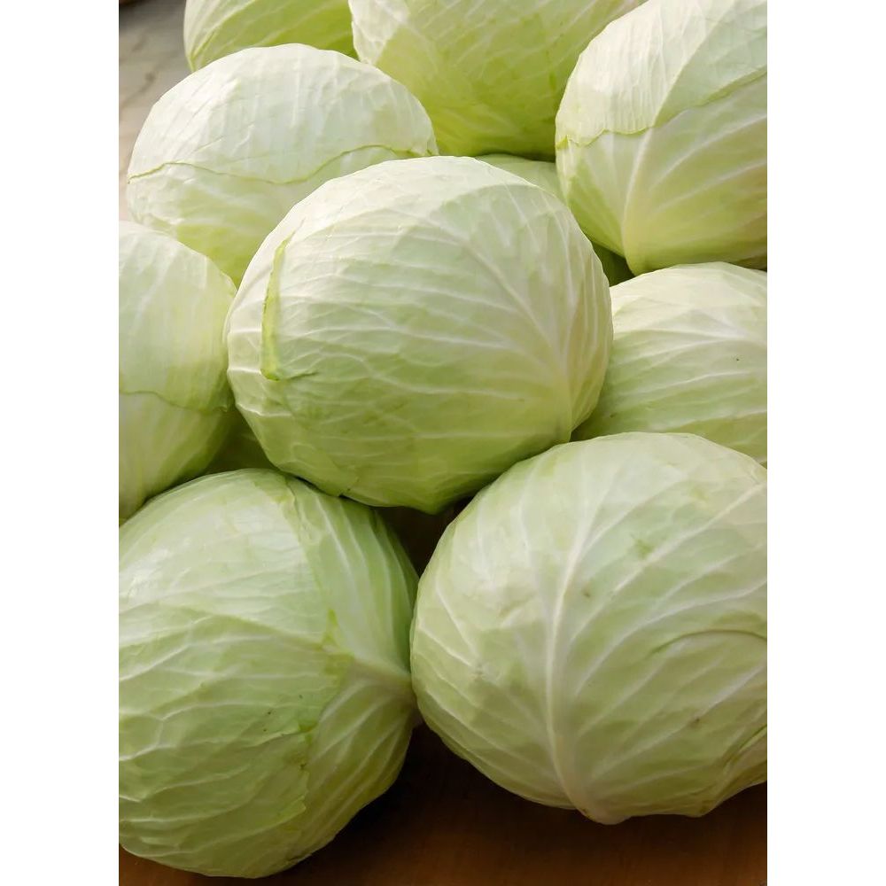 

Kol Kubis Putih Segar | Sayur Freshmart Bandung