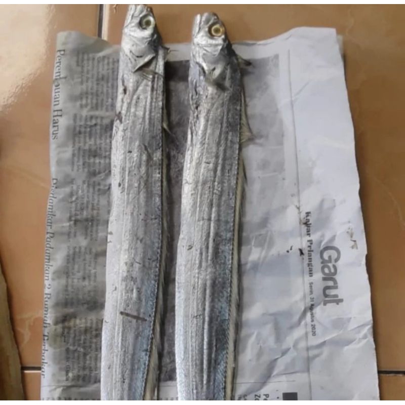 

ikan asin layur murah