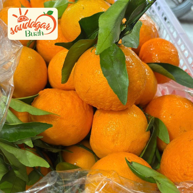 BUAH JERUK MANDARIN WO GAN DAUN WOKARA 1KG