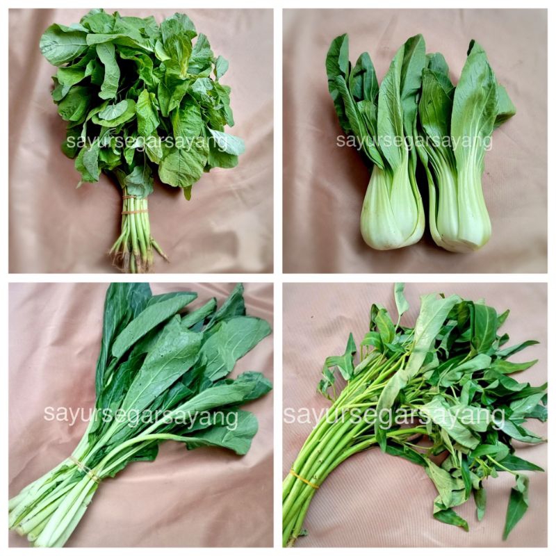 

Bayam / Kangkung / Pakcoy / Caisim / Sawi Hijau