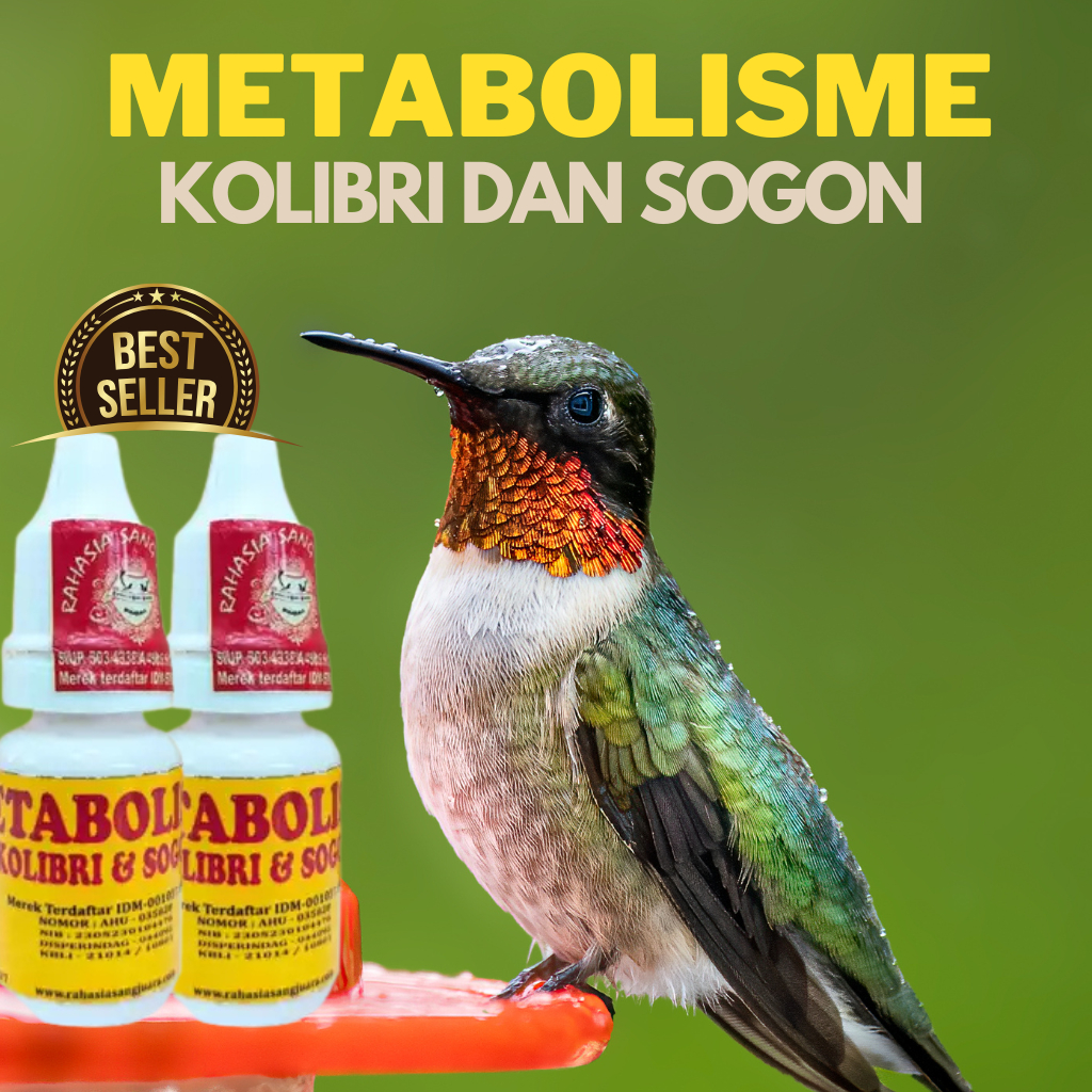 VITAMIN METABOLISME BURUNG KOLIBRI DAN SOGON 15ML