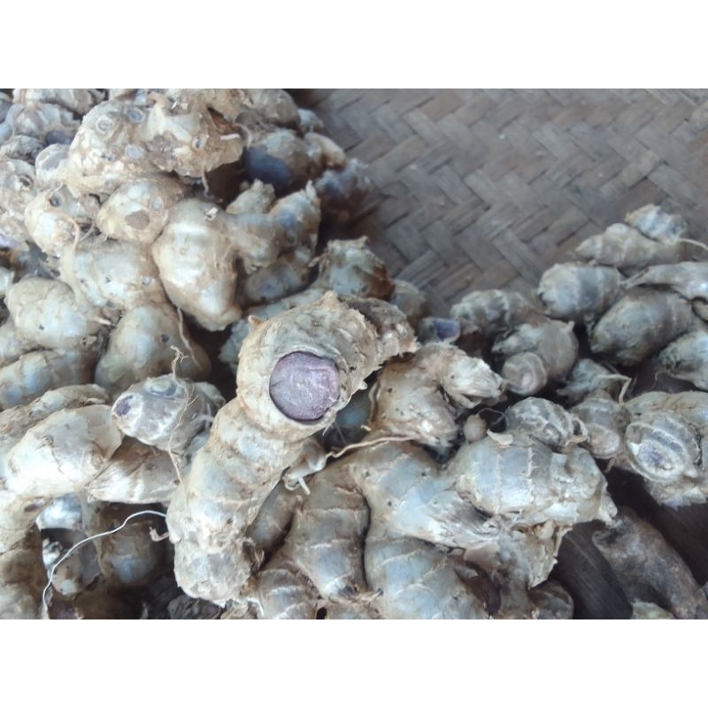 

paket murah 10kg kunyit hitam asli100%