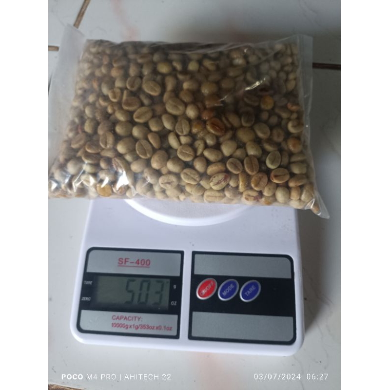 entresBIBIT BIJI KOPI ROBUSTA BUAT SEMAI 500 GRAM SUPER