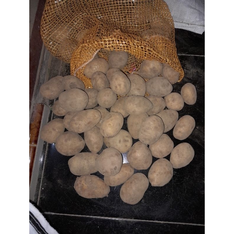 

Kentang Tengger 1kg