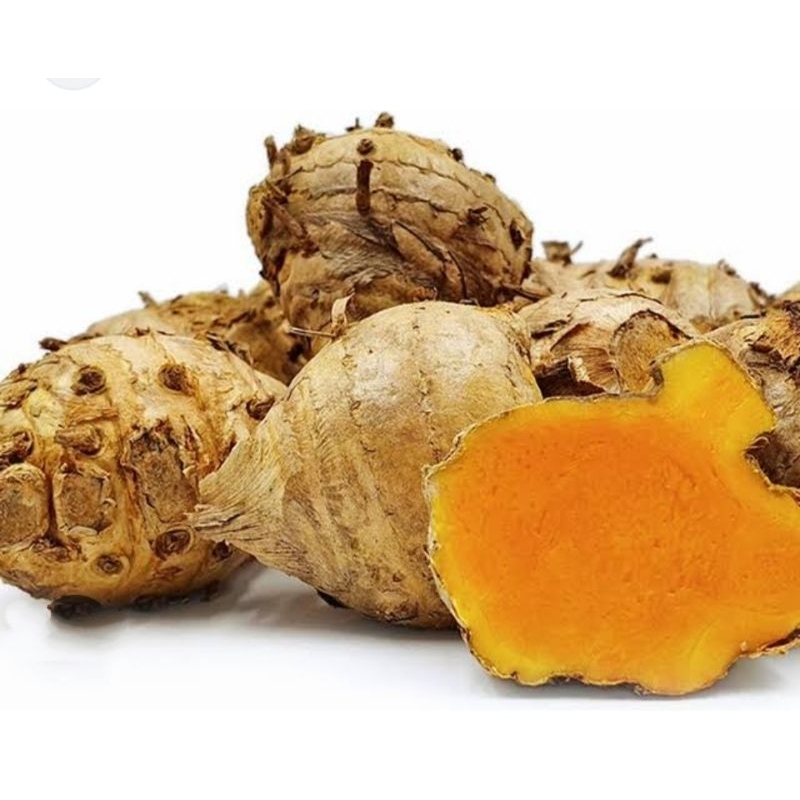 

Temulawak segar 1kg sudah bersih