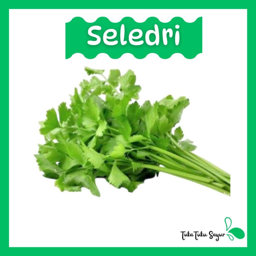 

DAUN SELEDRI SEGAR Per Ikat - TukaTuku Sayur