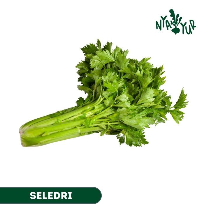 

INSTAN - Seledri segar 50gr