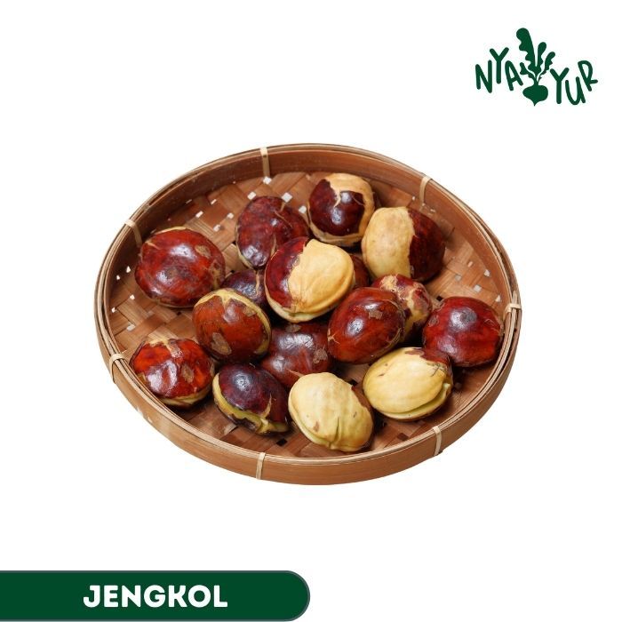 

INSTAN - Jengkol 250gr