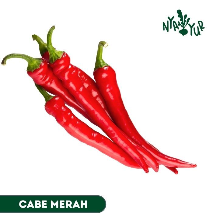 

INSTAN - Cabai Merah Keriting Segar 100gr
