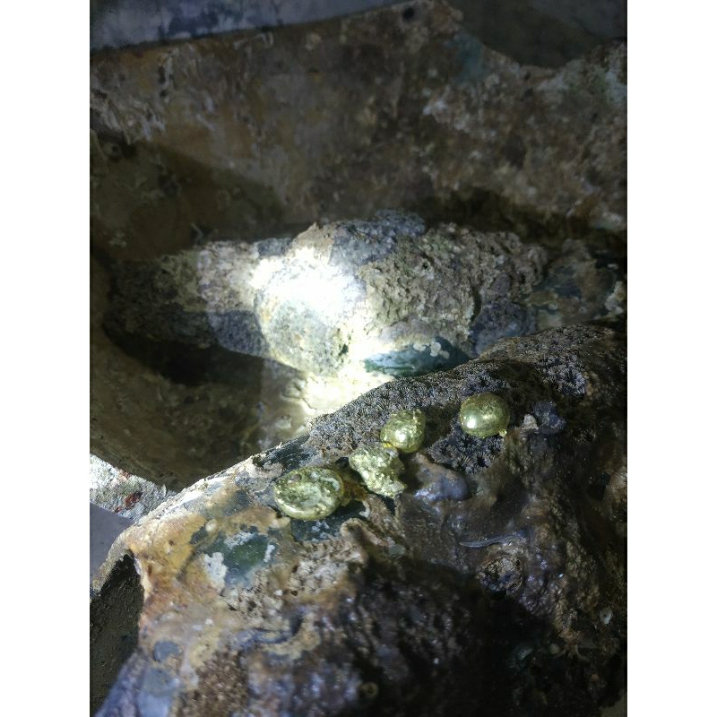 logam emas temuan sungai saat mbolang