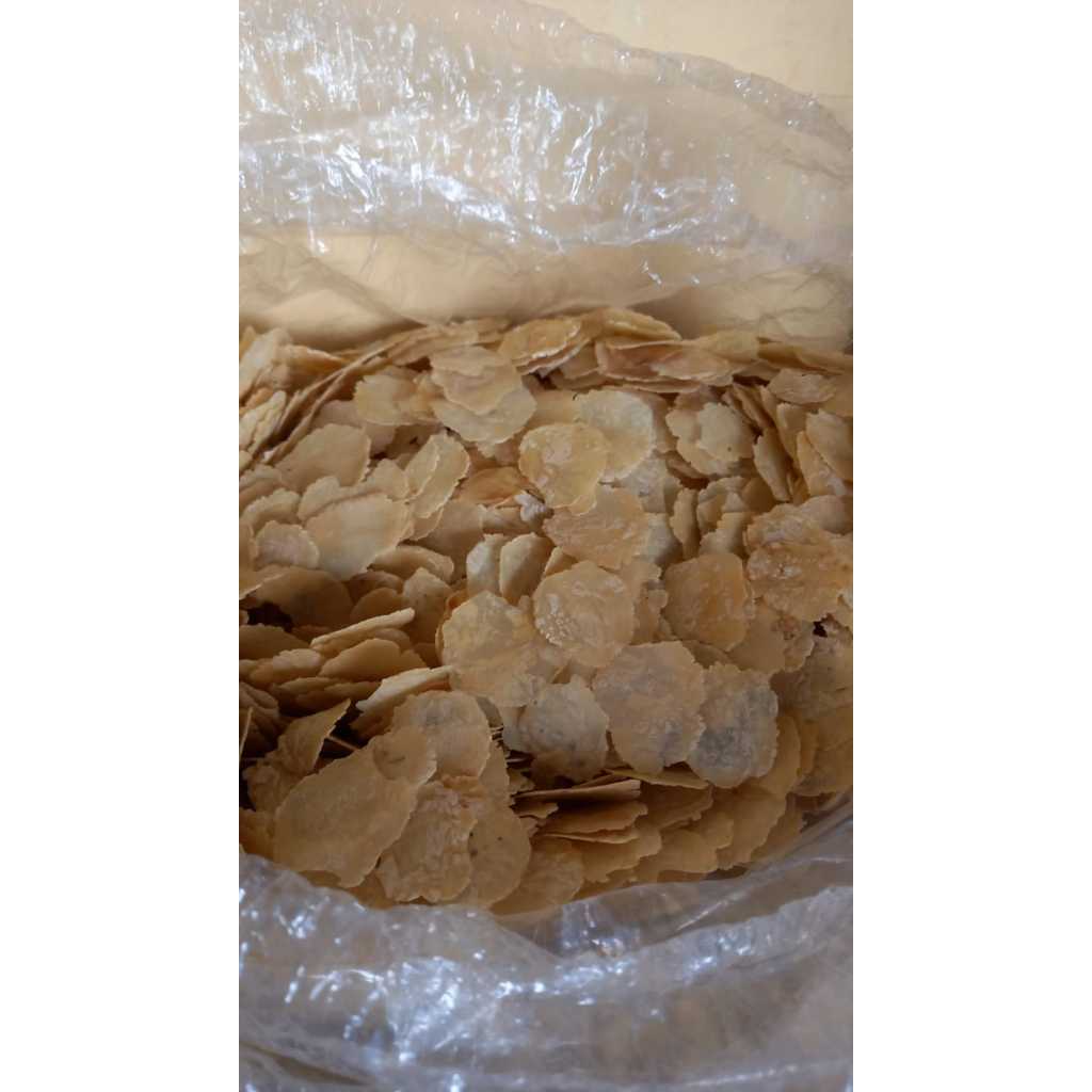 

Emping Melinjo/Mlinjo Kering Tipis Mentah Kualitas Standar