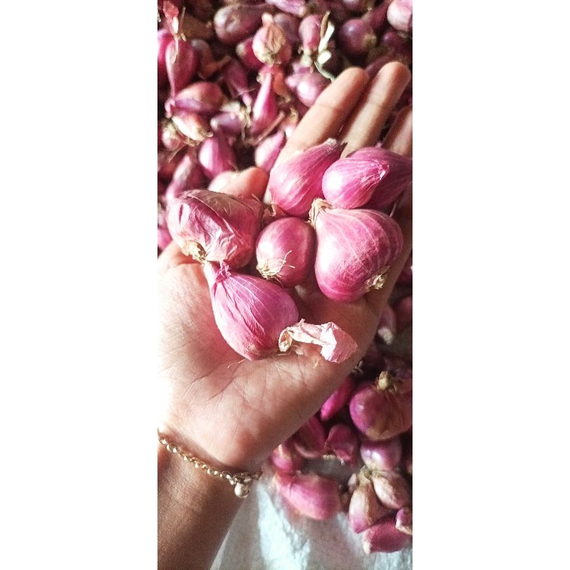 

bawang merah