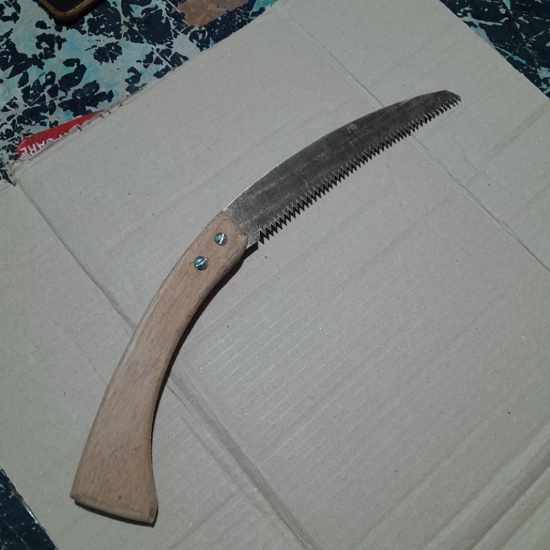 GERGAJI BONSAI / gergaji ranting kecil / graji bonsai