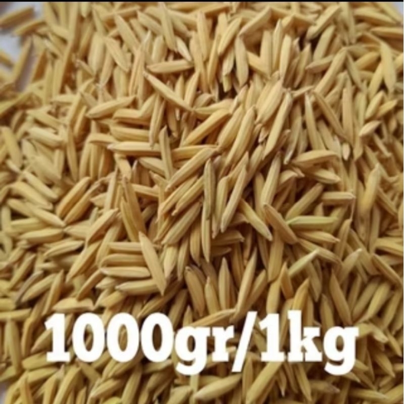 BENIH BIBIT PADI BASMATI KEMASAN 1 KG