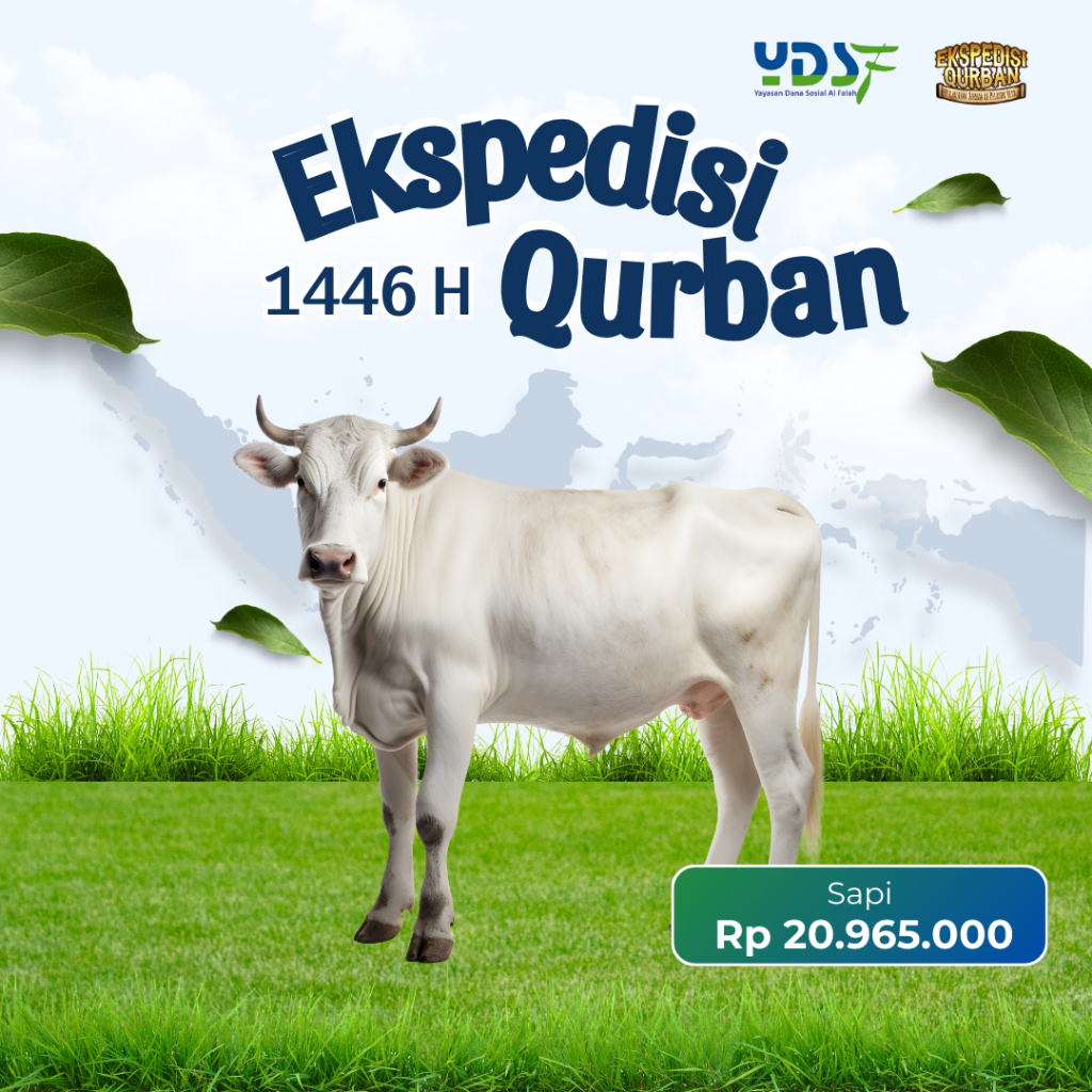 

Sapi Bobot +/- 250 Kg