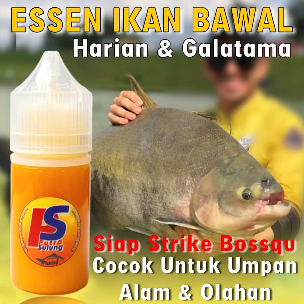 Essen Ikan Bawal Harian Dan Galatama Paling Gacor Segala Umpan, Essen Ikan Bawal Wangi Gurih Spesial