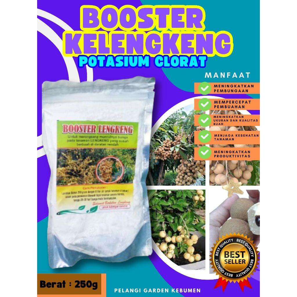 PROMO  Boster Kelengkeng Matalada Berbuah, Boster Kelengkeng Merah Cangkok Berbuah, Boster Kelengken