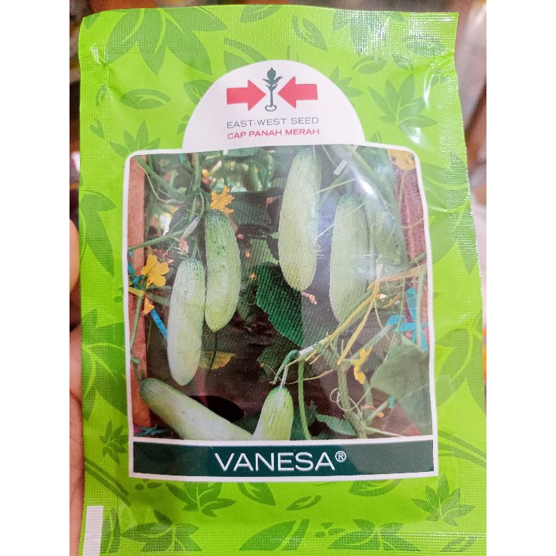 Benih Timun Lalap Vanesa Benih Timun Cap Panah Merah