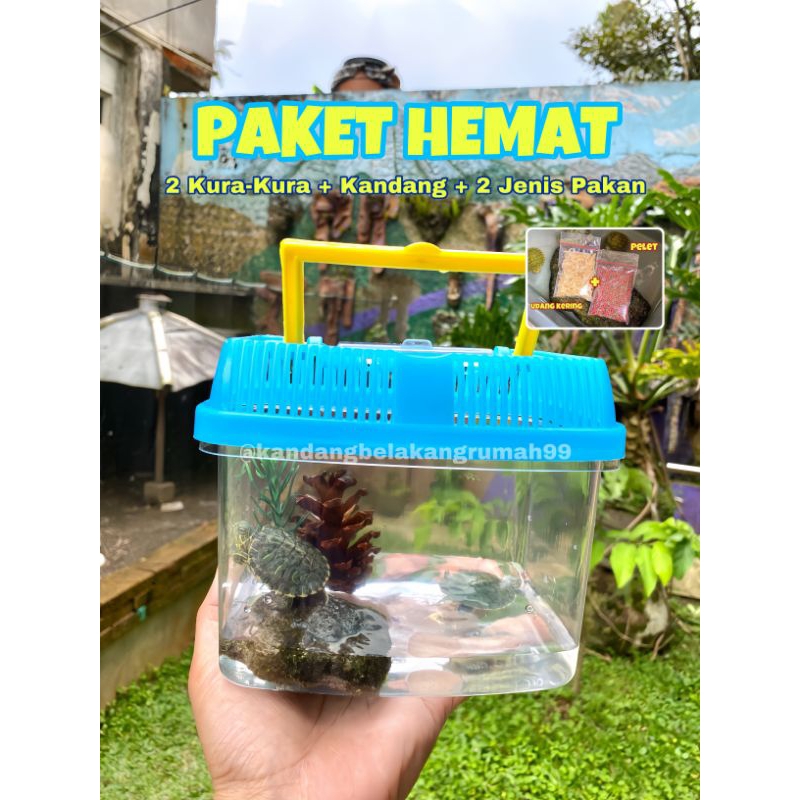 Paket Kura-Kura Kandang Kura-Kura Aquarium Kura-Kura Paket Terarium Kura-Kura Murah Pakan Kura-Kura 