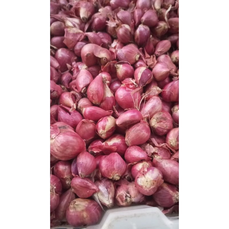 

Bawang merah super 250 gram