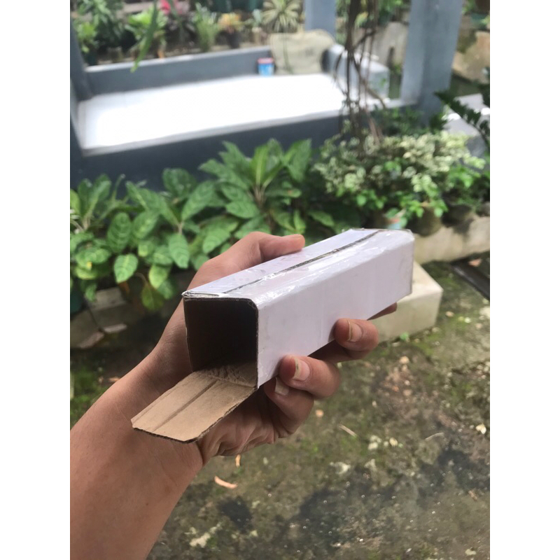 

kardus packing dns biru 1pcs