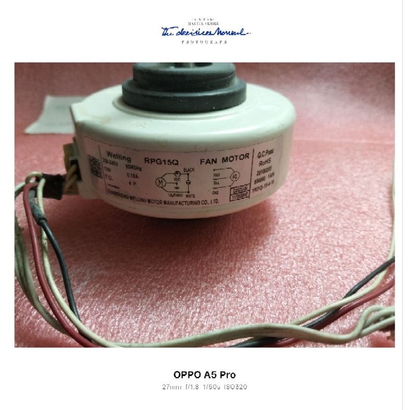 Dinamo Indor Ac Akari Tcl Elba Copotan