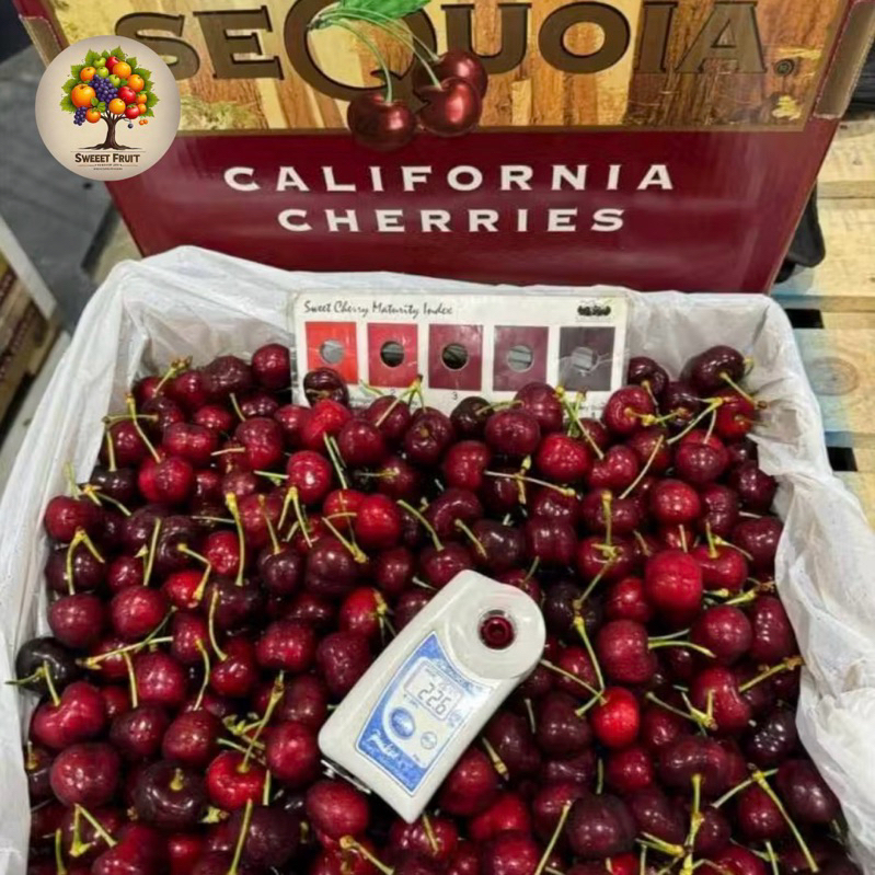 

Cherry Red Australia fresh 1kg