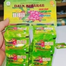 

Kapsul daun tok tok linu