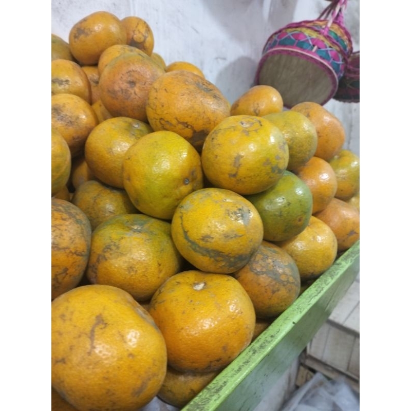 

Jeruk Medan Brastagi (500gr-1000gr)