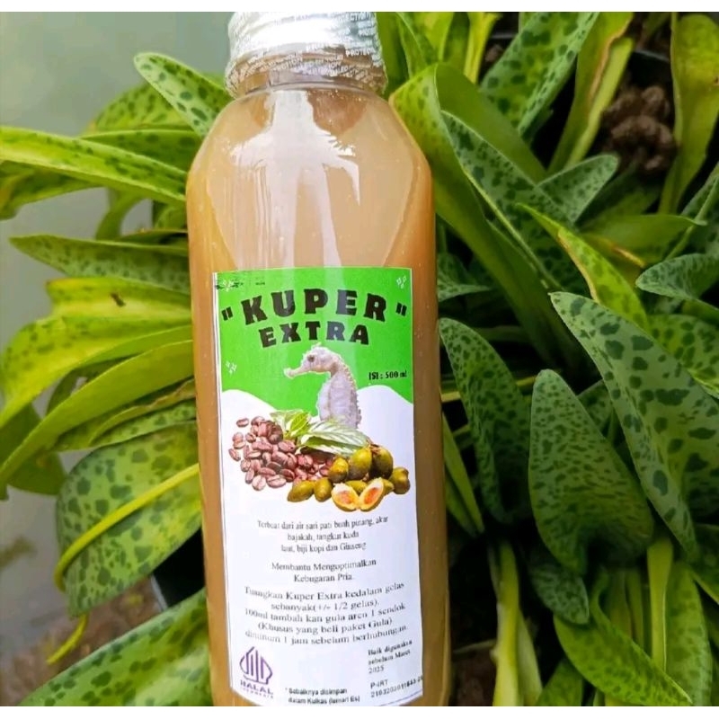 

saripati robusta extra tangkur kuda laut 500 ml