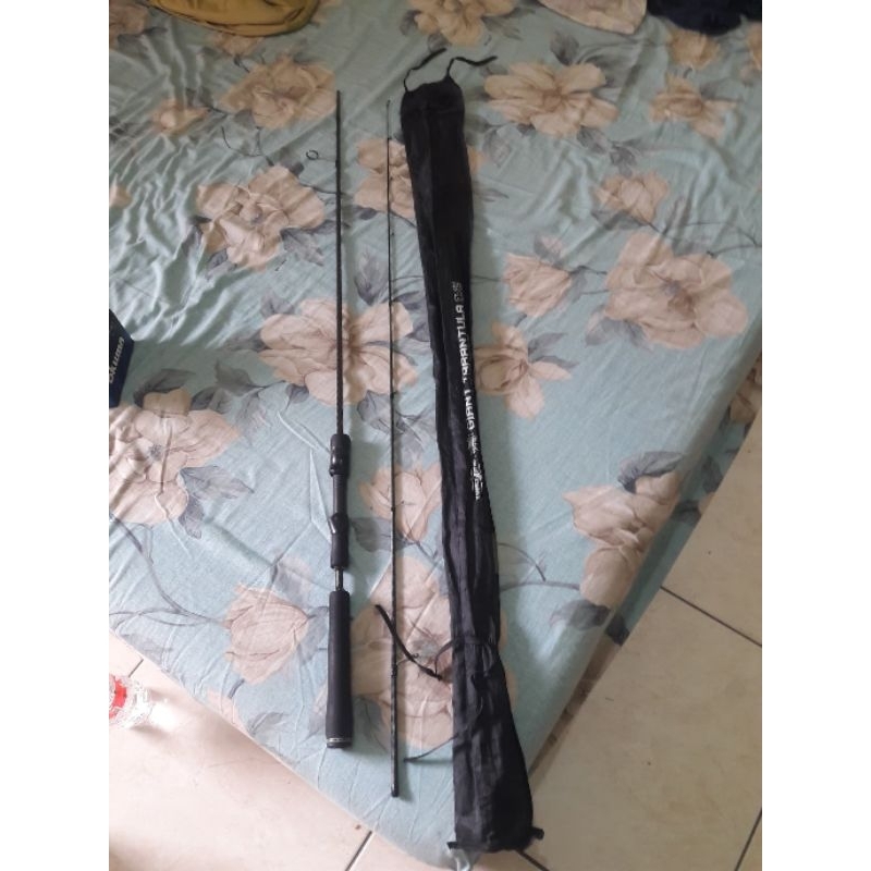 Hammerhead Giant Tarantula 692 (2-6 lbs)