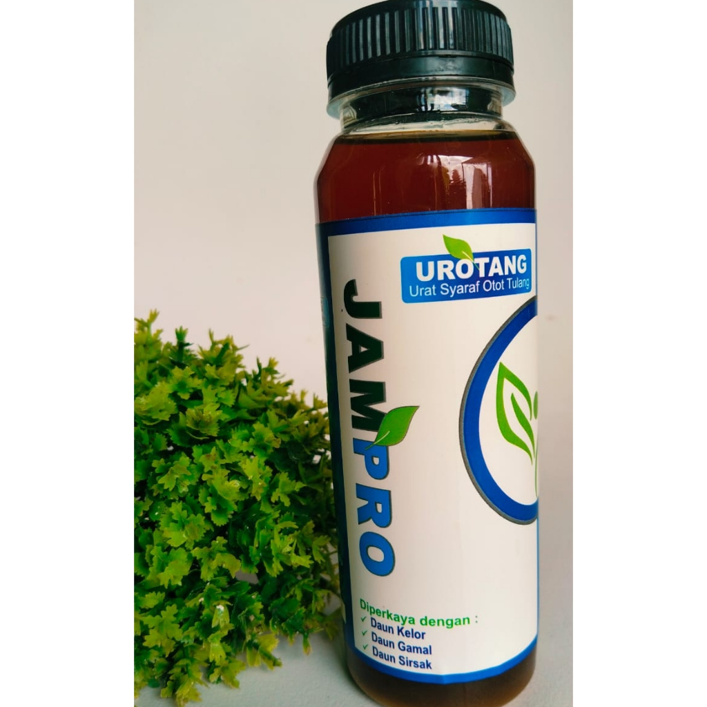 

Jamu Probiotik Urat Syaraf Otot dan Tulang (UROTANG)