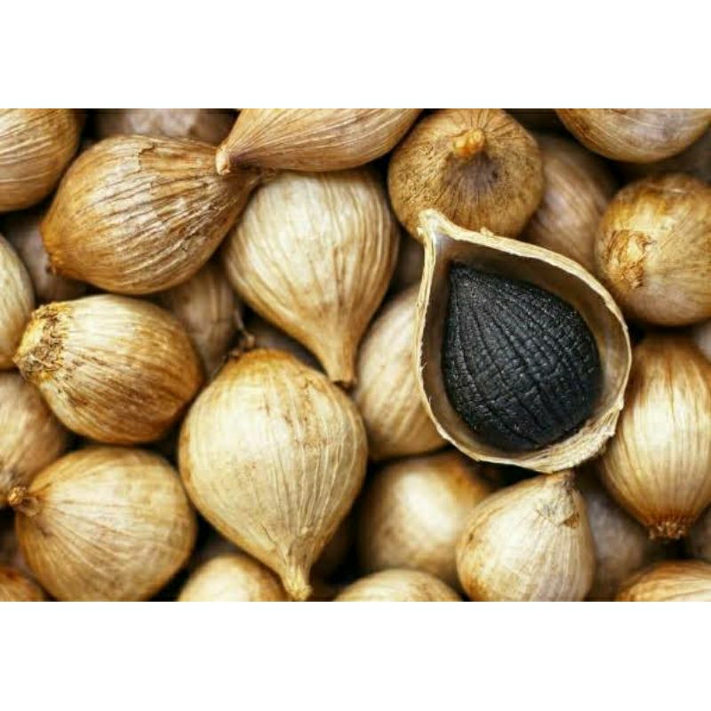 

Bawang hitam tunggal / 1kg