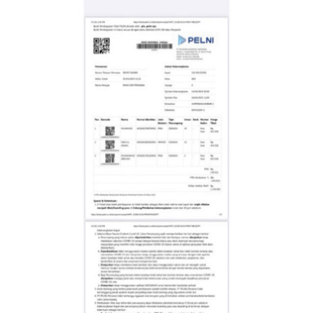 Dummy Tiket Kapal Laut Felni