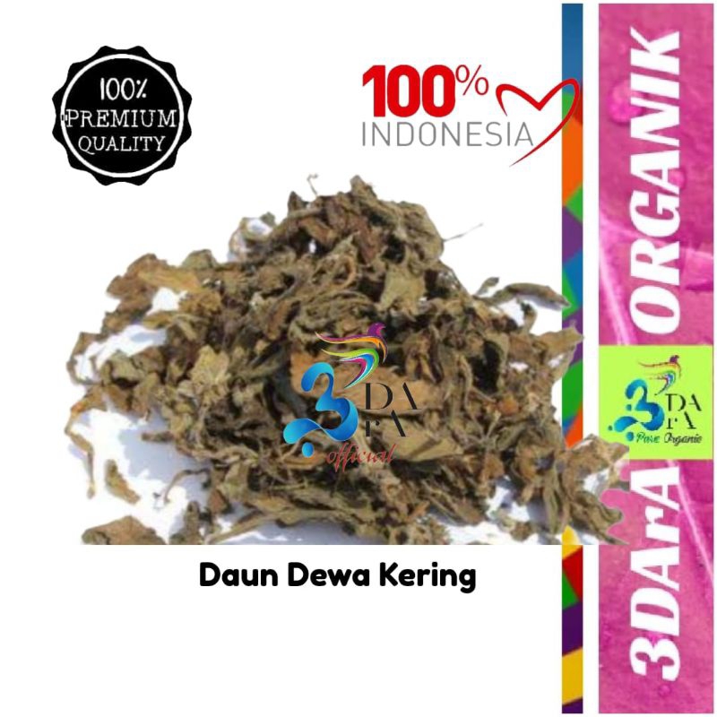 

Daun Dewa Kering 100gr - 250gr Premium Asli Tanpa Campuran