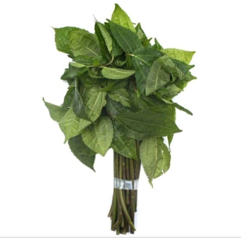 

Daun poh pohan lalap 1 ikat kecil..