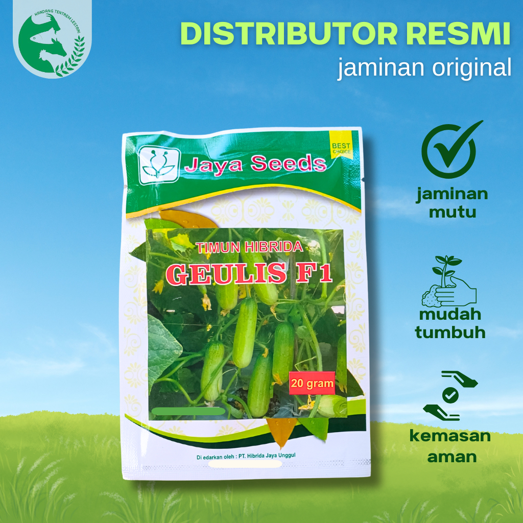 Benih Timun Hibrida GEULIS F1 20 gram 800 an Biji JAYA SEED Timun Unggul Setara WULAN F1 Panah Merah