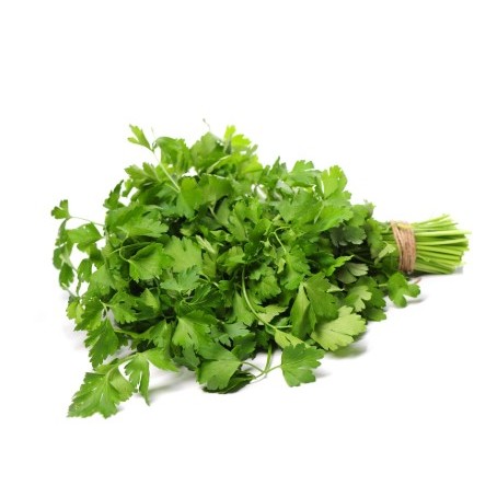 

Daun Seledri / Celery Leaves 200gr