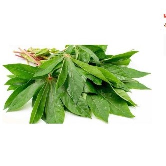 

Daun Singkong / Cassava Leaves Per Pack / Ikat
