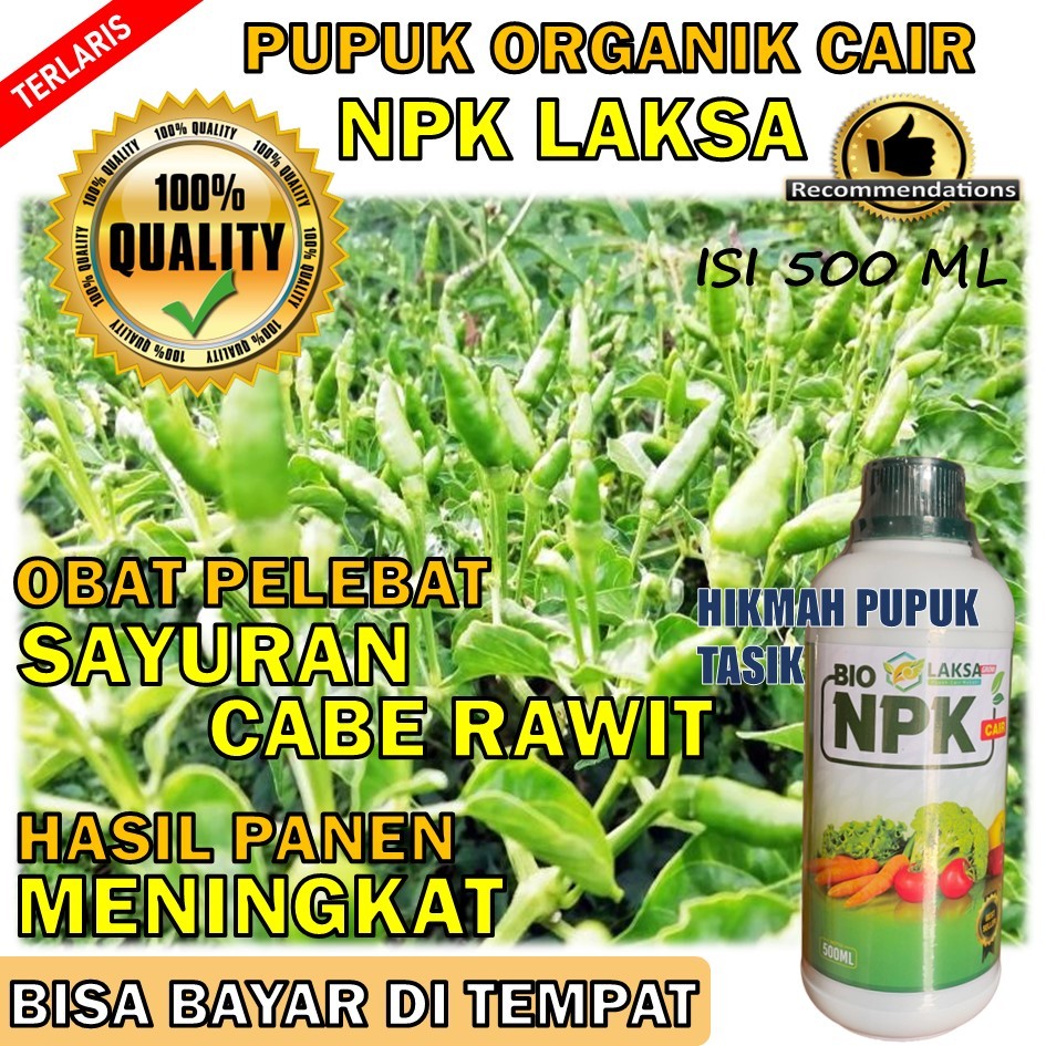 PUPUK TERMURAH NPK LAKSA Obat Pelebat Sayuran Cabe  - Obat Penyubur Sayuran Cabe Rawit - Obat Memper