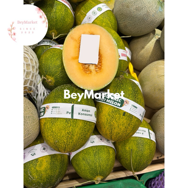 

Melon Hamiqua Hydroponik 1 pcs | Melon Hamikua