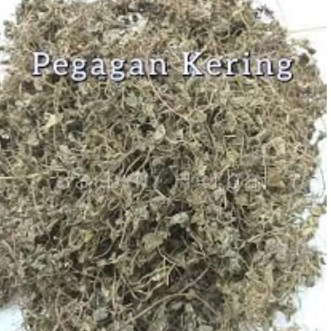 

Daun Pegagan Kering 50 Gram