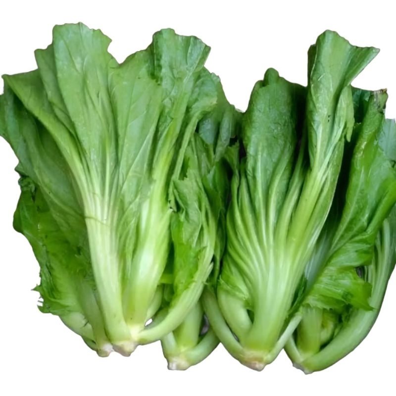 

Sawi Pait Sawi Bakasem Sawi Acar 250 gram