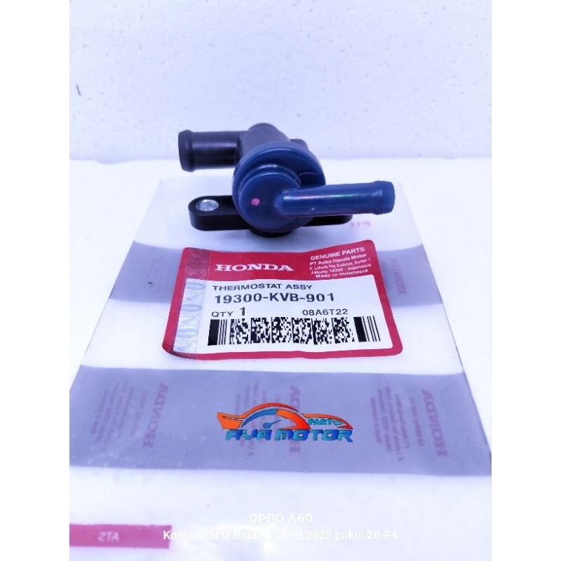 Thermostat Assy Vario 110 Vario lama