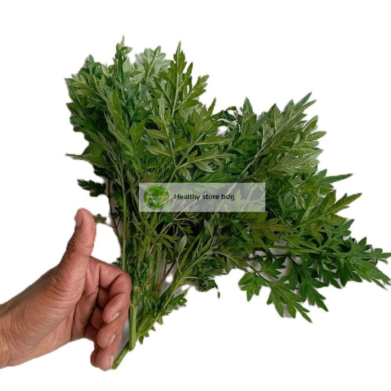 

Daun kenikir atau raramidang segar 1 kg