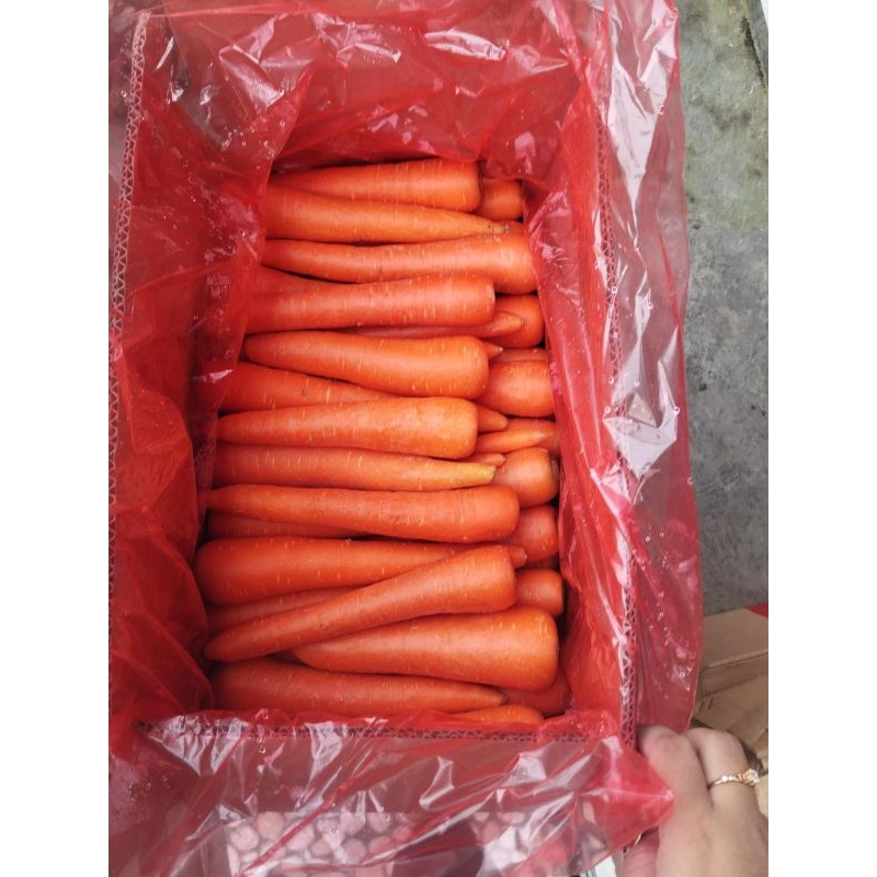 

Wortel Brastagi -+1kg