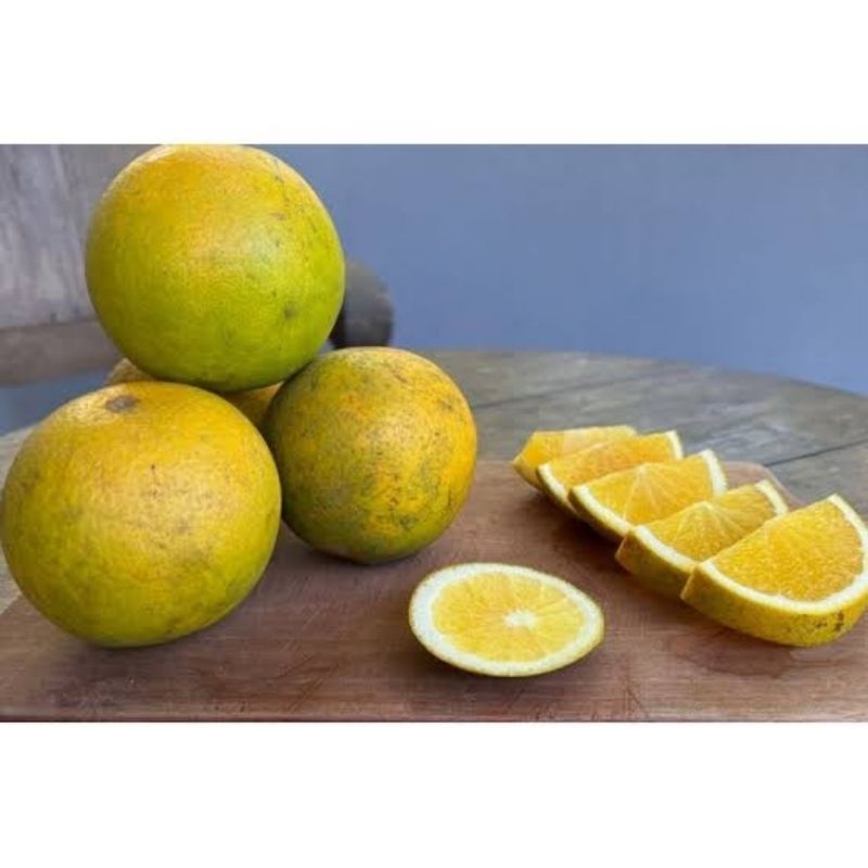 

buah jeruk beby java 8kg