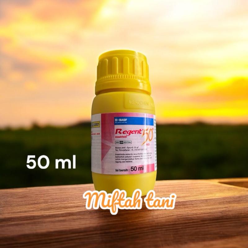 Regent 50 insektisida